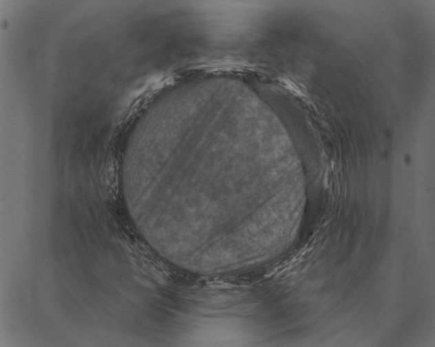 X0000087331398200705181024