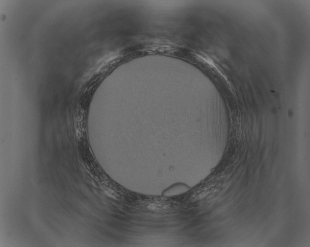 X0000087331399200705181024