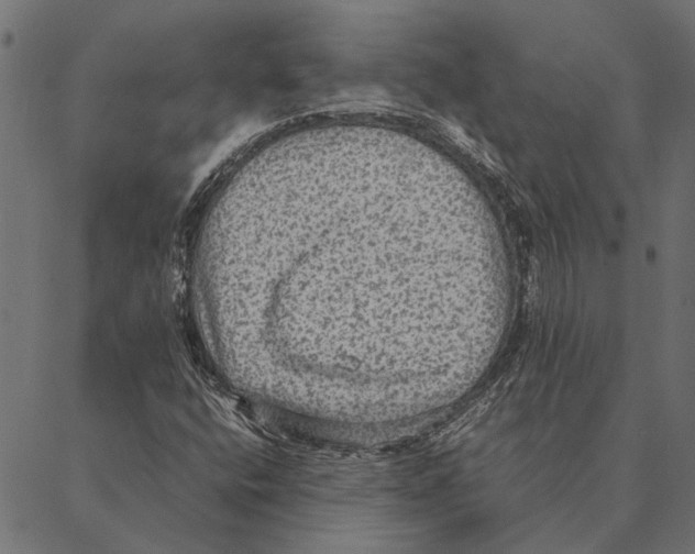 X0000087331400200705181024