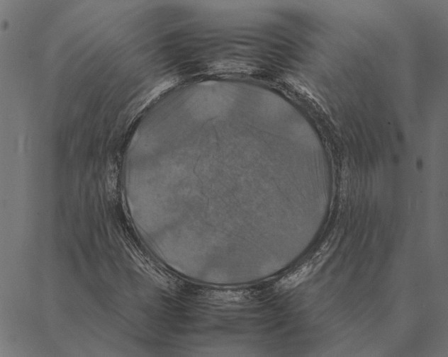 X0000087331401200705181024