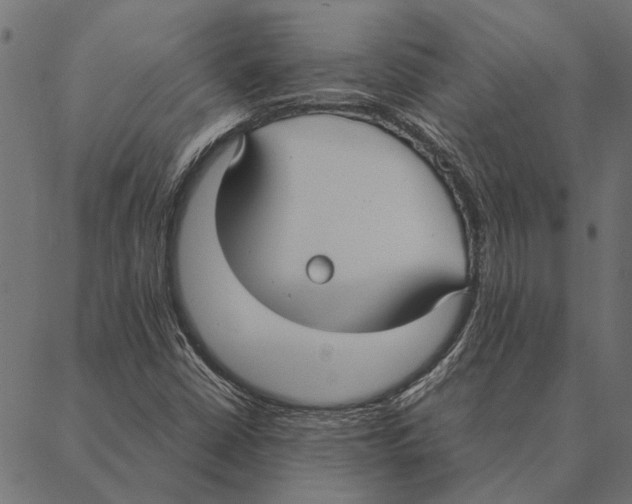 X0000087331402200705181024