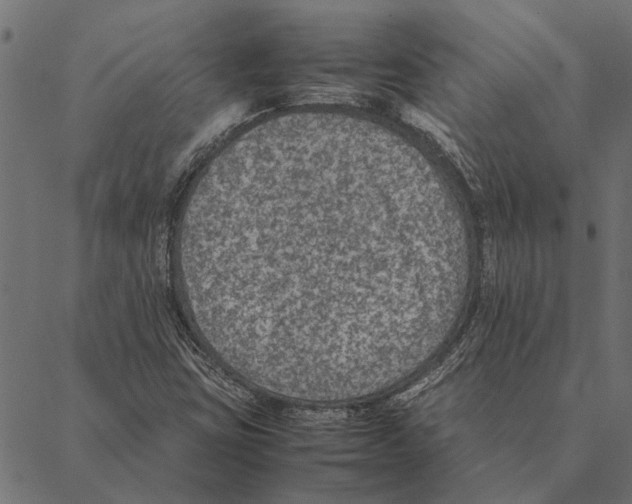 X0000087331403200705181024