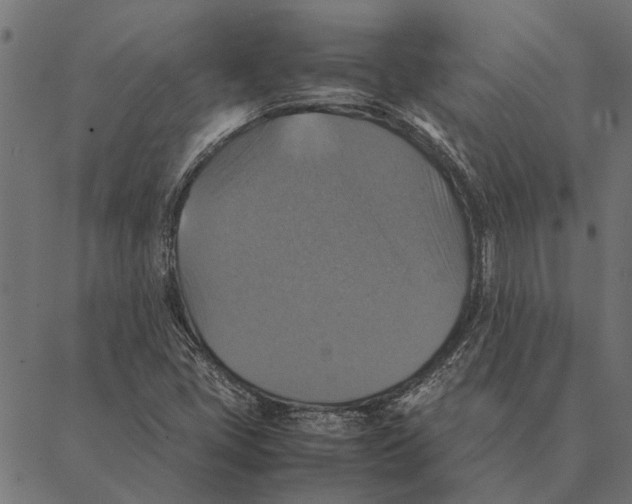 X0000087331405200705181024