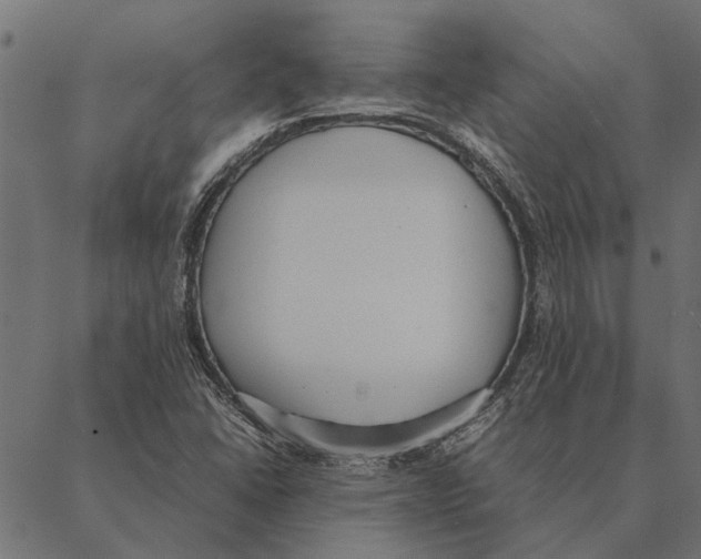 X0000087331406200705181024