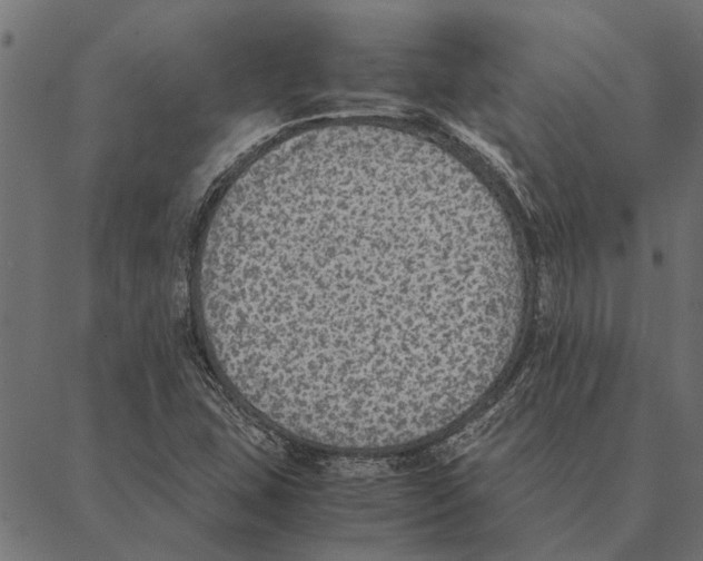 X0000087331407200705181024