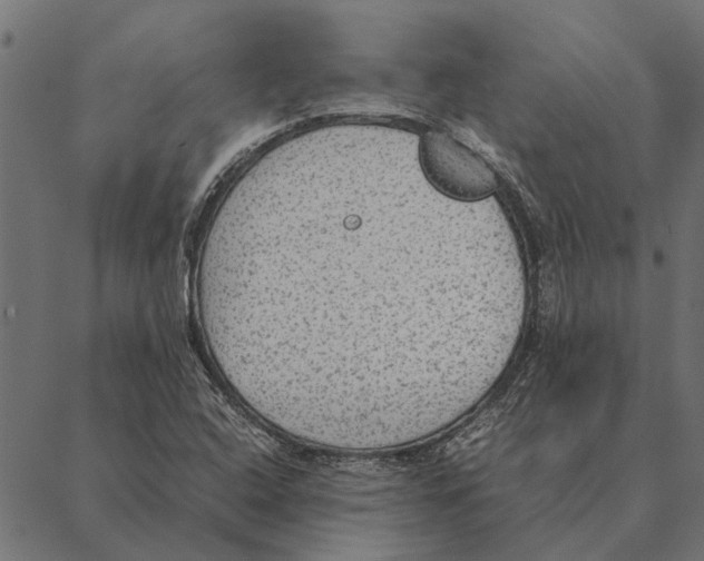 X0000087331408200705181024