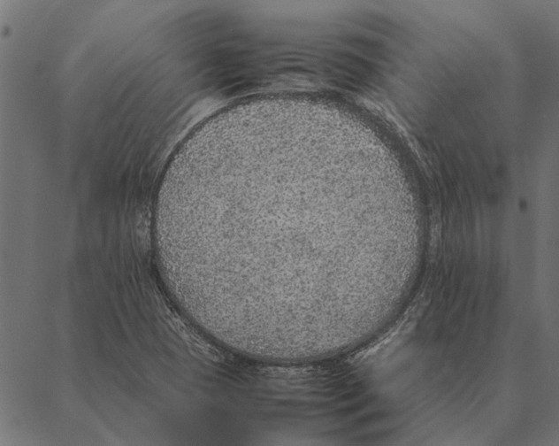 X0000087331409200705181024