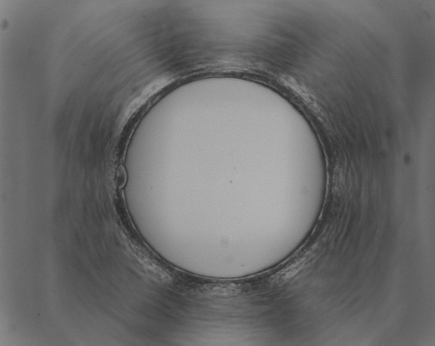 X0000087331410200705181024