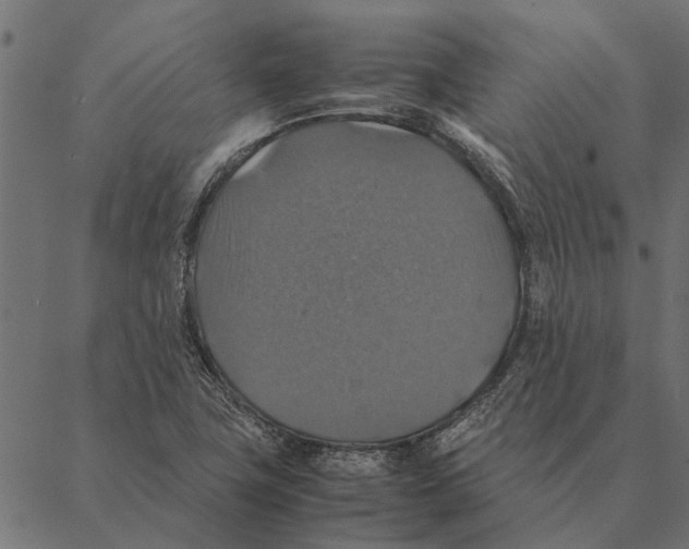 X0000087331411200705181024