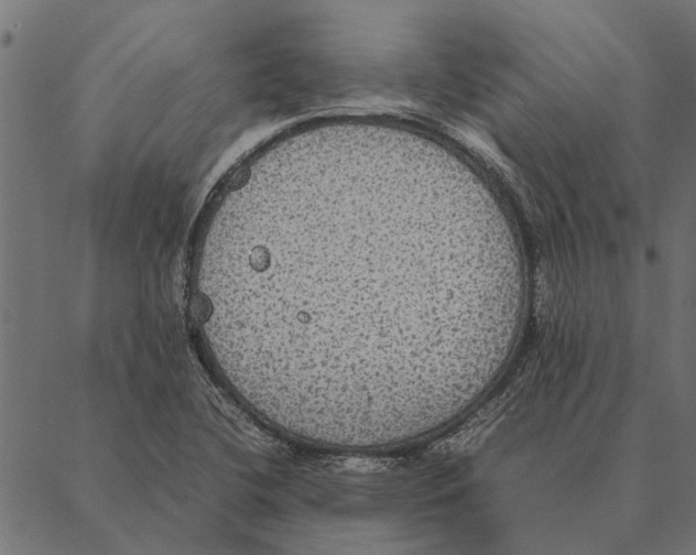 X0000087331412200705181024