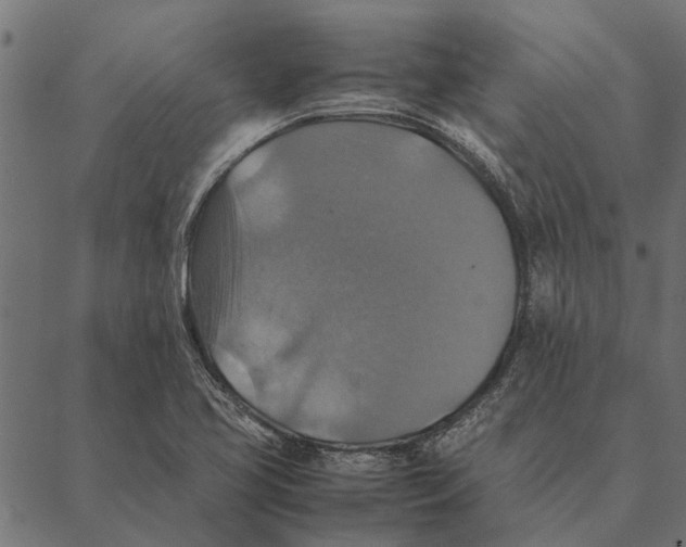 X0000087331413200705181025