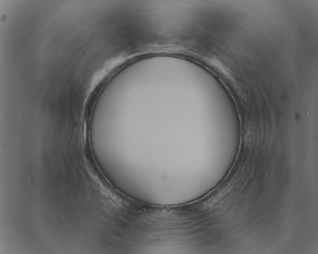 X0000087331414200705181025