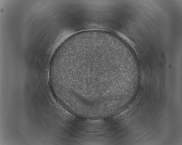 X0000087331415200705181025