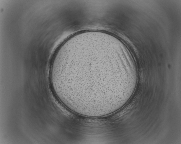 X0000087331416200705181025