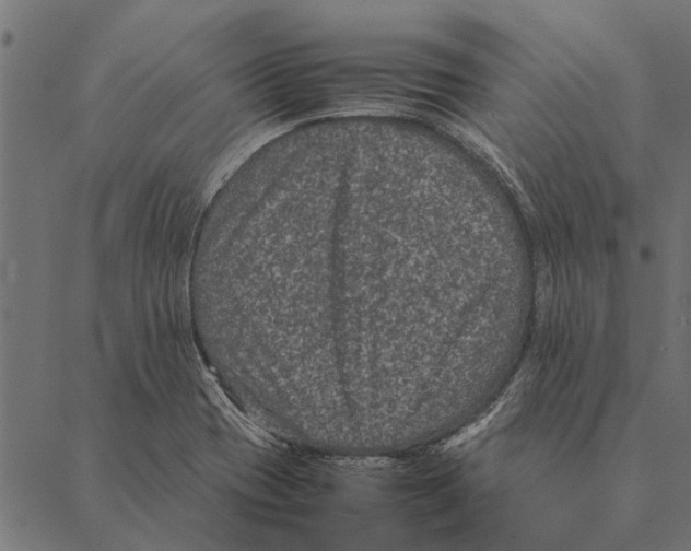 X0000087331417200705181025