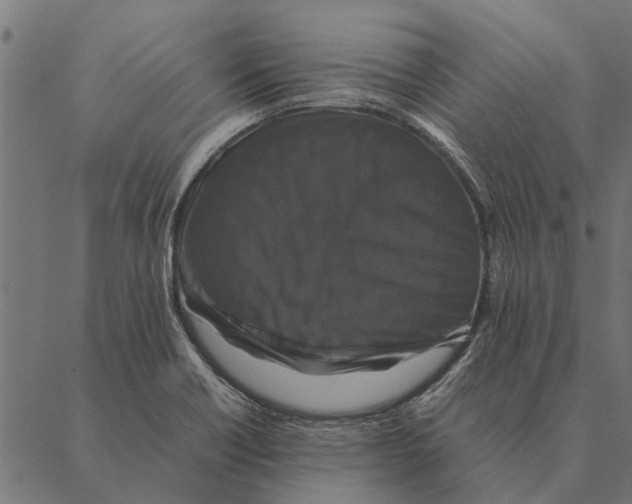 X0000087331418200705181025