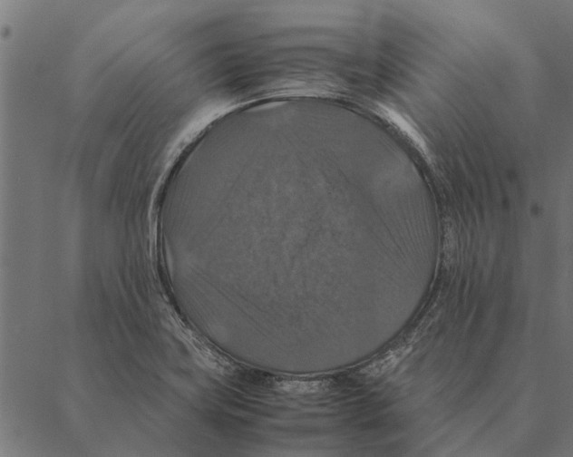 X0000087331419200705181025