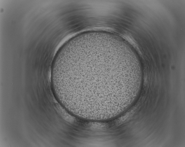 X0000087331420200705181025