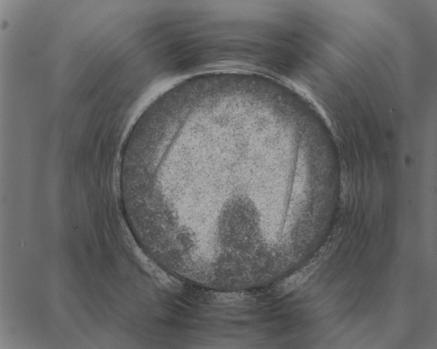 X0000087331421200705181025