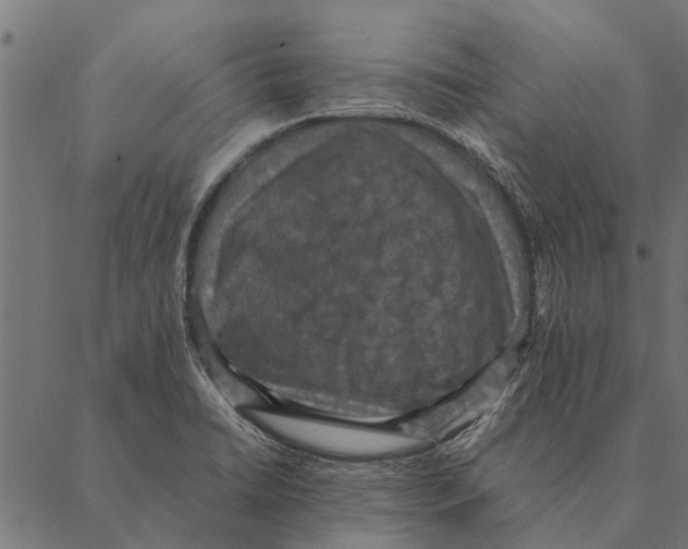 X0000087331422200705181025