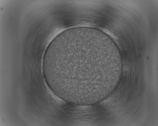 X0000087331423200705181025