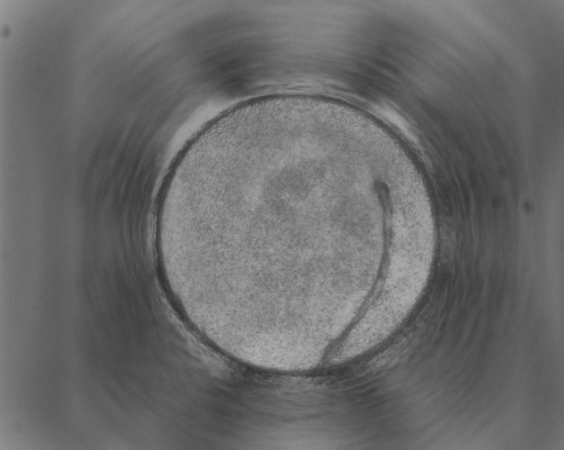 X0000087331424200705181025