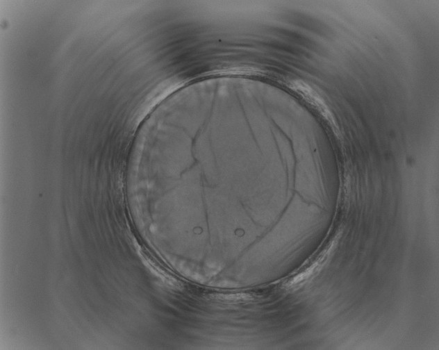 X0000087331425200705181025