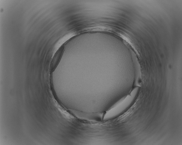 X0000087331426200705181025