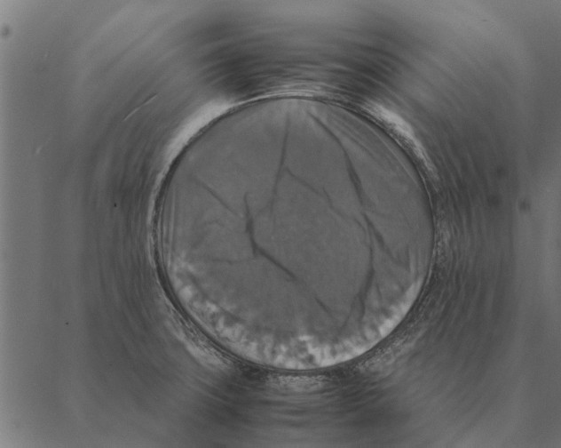 X0000087331427200705181025