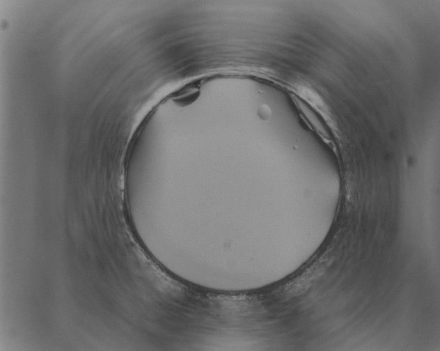 X0000087331428200705181025