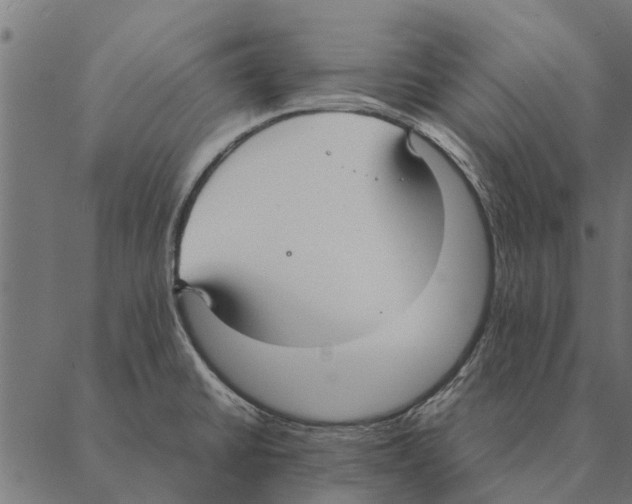 X0000087331430200705181025