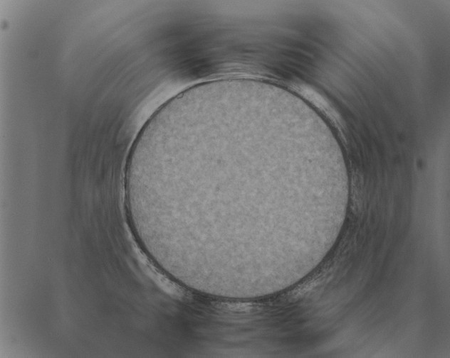 X0000087331431200705181025