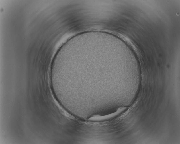 X0000087331432200705181025