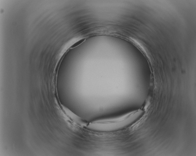 X0000087331434200705181025