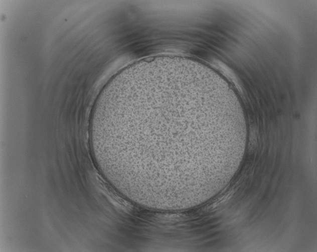 X0000087331435200705181025