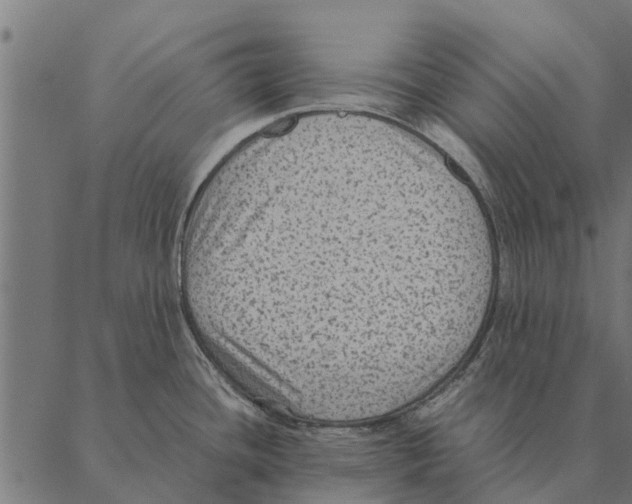 X0000087331436200705181025