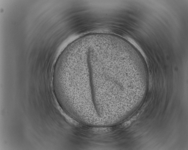 X0000087331437200705181025