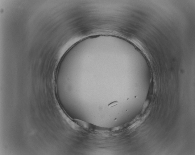 X0000087331438200705181025