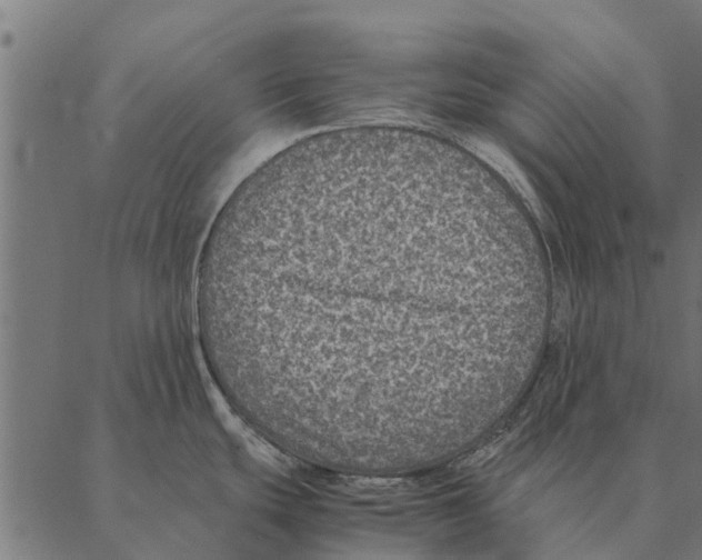 X0000087331439200705181025