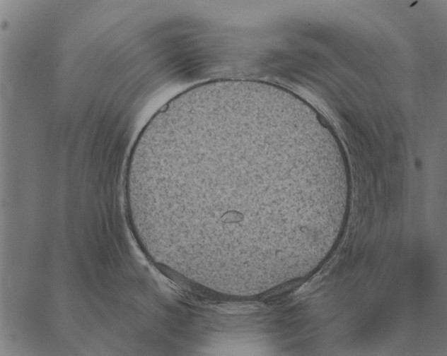 X0000087331440200705181025