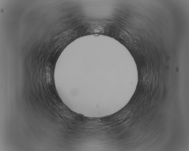 X0000087331442200705181024