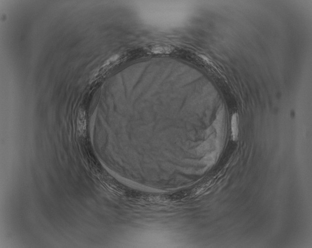 X0000087331443200705181024