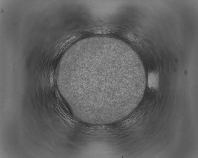 X0000087331444200705181024