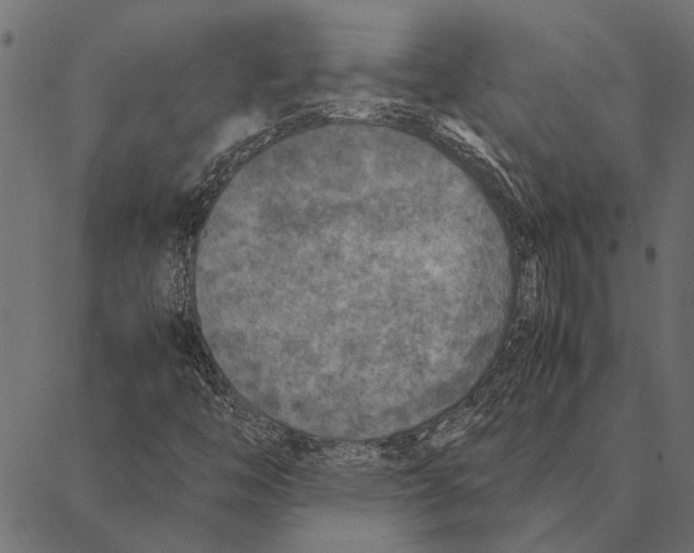 X0000087331446200705181024