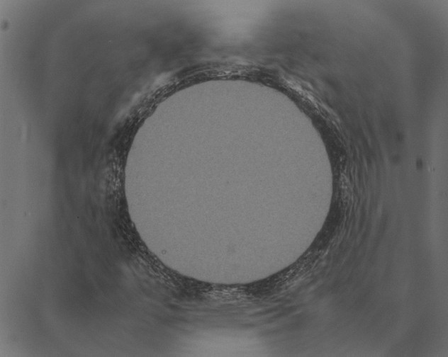 X0000087331447200705181024