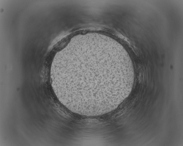 X0000087331448200705181024