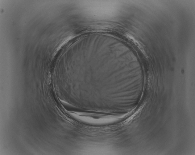 X0000087331449200705181024