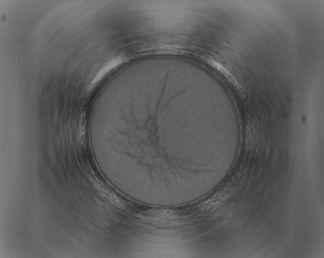 X0000087331450200705181024