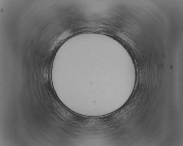 X0000087331451200705181024