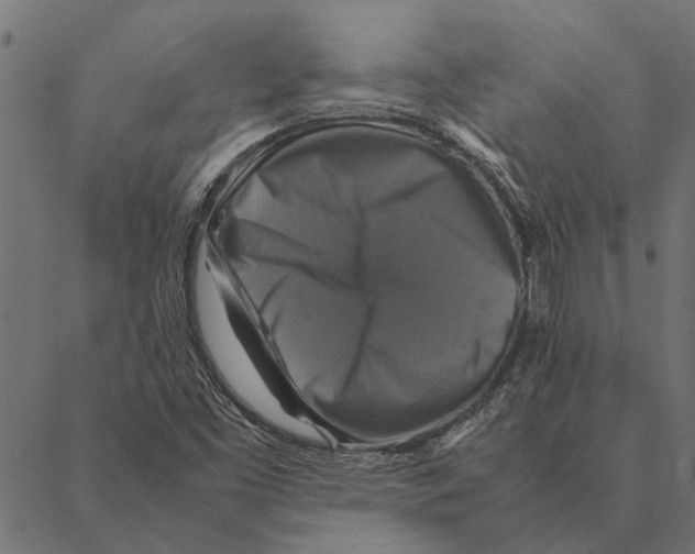 X0000087331453200705181024